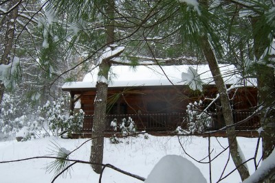 Wil-deer-ness Cabin in NC mountains with flowers blooming