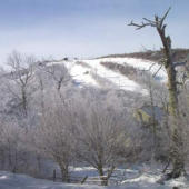 Beech Mountain