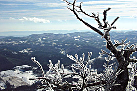 Mount Jefferson State Park