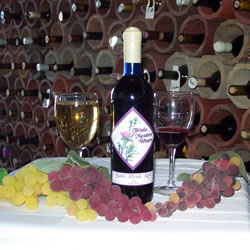 Thistle Meadow Winery