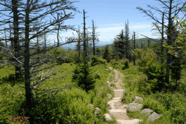 Virginia Creeper Trail